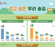 전국에 조성된 트레킹길 등 숲길은 8000여구간에 3.9만㎞