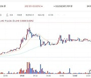 나이지리아 CBDC 발행 맡은 크레딧코인, 하루 만에 33%↑[특징코인]