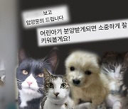 "그가 입양한 유기동물들, 다 어디로 갔나"…'궁금한이야기Y', 동물 학대 의혹男 추적