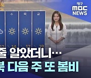 [주말날씨] 비 끝난 줄 알았더니···대구·경북 다음 주 또 봄비