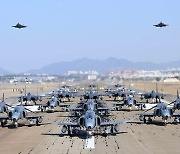 저공비행하는 F-35A 스텔스 전투기