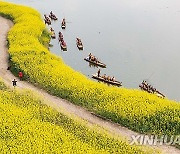 CHINA-SICHUAN-CHENGDU-RAPESEED FLOWERS (CN)