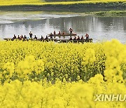 CHINA-SICHUAN-CHENGDU-RAPESEED FLOWERS (CN)