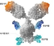 전 세계 ADC임상 150개 ↑…2028년 시장 규모 40조원[제약·바이오 해외토픽]