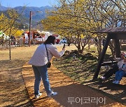 구례 산수유축제 추억 남기기