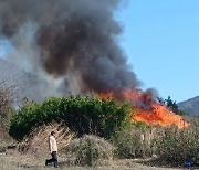 여수 돌산읍 산불 발생..40분 만에 진화