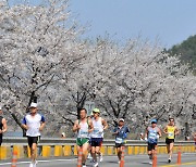 꽃길만 걷자고? 꽃길 따라 달려보자! 전국 곳곳 봄맞이 마라톤