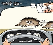 [김회룡의 시사 TOON]