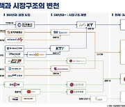 제4이동통신 망 운영을 위탁한다고요?[김현아의 IT세상읽기]