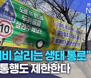 "두꺼비 살리는 생태 통로".. 차량 통행도 제한한다