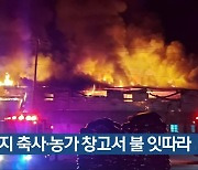 돼지 축사·농가 창고서 불 잇따라