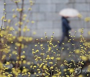 [내일날씨] 남부 중심 비 또는 눈…일교차 10도 이상