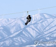 집라인 타며 만끽하는 봄기운