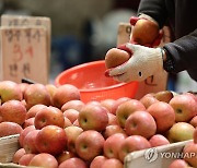 작황부진으로 과일 물가 고공행진, 덩달아 식료품 물가도 상승