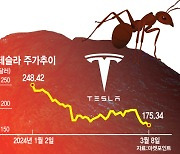 "백슬라, 오히려 좋아" 폭락에 쓸어담는 서학개미들…향후 전망은