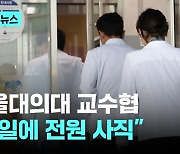 서울의대 교수협 "합리적 방안 없으면 18일 사직서 제출"