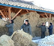 북한, 알곡고지 점령 지속 부각…"농사차비 빈틈없이"