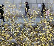 12일 영상권에 전국 밤까지 최대 30㎜ 비…우박·천둥도 [내일날씨]