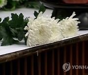 "너무 억울해…6학년 딸 학교폭력 호소하다 숨졌다"