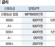 채권시장에 물들어왔다… 기업들 사모채 자금조달 활발