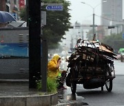 서울시, 폐지 줍는 어르신 대상 공공일자리 늘린다