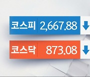 코스피 '엔비디아 후폭풍' 2,660대 후퇴‥두산에너빌리티 크게 상승