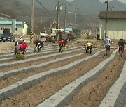 외국인 계절근로자 ‘올해 역대 최다’…“제도 개선도 시급”