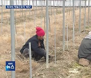 외국인 계절근로자 ‘올해 역대 최다’…“제도 개선도 시급”