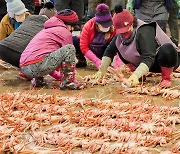 Uljin County is Korea's crab capital, but with so much more