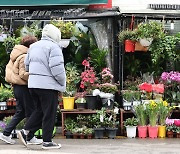 Flower markets begin blooming in Seoul