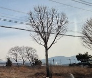 고도제한에 막힌 지역개발… 포천비행장 이전 ‘한목소리’ [총선 현장 이슈]