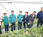 경남도의회 농해수위, 일조량 부족 피해 수박농가 점검