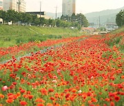 "꽃과 숲으로 도시 전체를 꾸민다" 임실군, 생활권 녹지공간 조성