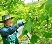 전남도, 3월 임업인에 조규탁 원장