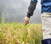 ‘농업수입보장보험’ 개선 윤곽...농가소득 안정화에 도움 될까