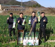 탐방선도농협 서진도농협 겨울대파 사업 순항