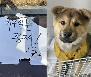 “키우실 분 공짜!”…반려견 버리며 ‘쪽지’ 남긴 뻔뻔한 견주