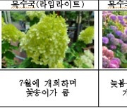 [부산소식] 부산시, 23일 시민나무심기 행사