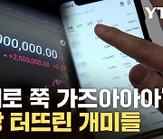 [자막뉴스] 비트코인 대형 '불기둥'...정부·與 입장도 달라졌다