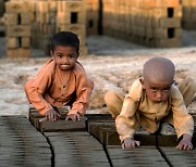 [더 한장] 노동에 내몰리는 아프간 어린이들