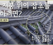 "한옥 불편하시죠?" 서울시, 한옥 명인 7인 `한옥 보수 영상` 공개