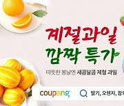 쿠팡 로켓프레시 인기… 과일 450톤 할인 판매