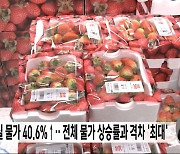 과실 물가 40.6%↑‥전체 물가 상승률과 격차 '최대'