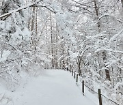 강원 중부·북부산지 대설주의보 발효