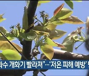 “과수 개화기 빨라져”…‘저온 피해 예방’ 당부