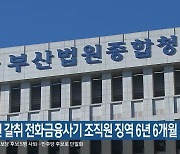 14억 원 갈취 전화금융사기 조직원 징역 6년 6개월