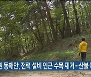 강원 동해안, 전력 설비 인근 수목 제거…산불 예방