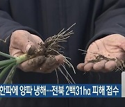 기습 한파에 양파 냉해…전북 2백31ha 피해 접수