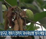 양구군, 개화기 전까지 ‘과수화상병’ 방지 예찰 강화