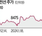 치솟은 전력기기株…다음은 전선株의 시간